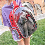 Load image into Gallery viewer, Ritzy Pet Carrier Bag
